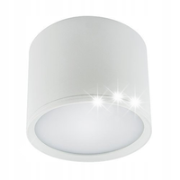 LAMPA SUFITOWA OKRĄGŁA TUBA PUNKTOWA 4100K IDEUS STRUHM ROLEN 03109 BIAŁY