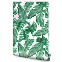 Tapeta Do Jadalni Zielone LIŚCIE Bananowca Rośliny