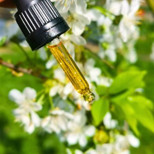 Olej Do michy RelaX CBD 6% dla psa i kota 10ml THC-0% (bezpieczny) na Arena.pl