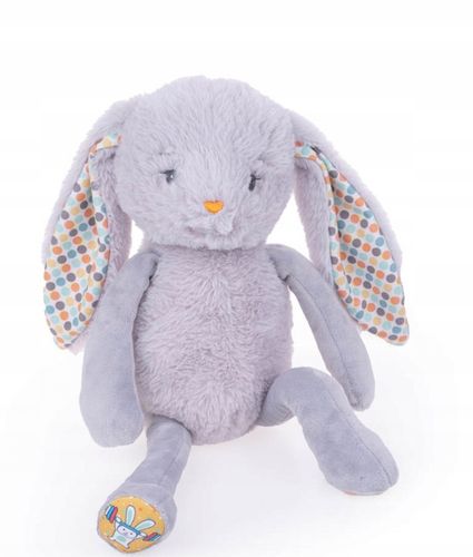 DUMEL EDUKACYJNY INTERAKTYWNY KRÓLIK KRÓLICZEK FRANIO 12+ na Arena.pl