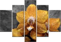 105CM 150CM OBRAZ 5 ELEM STORCZYK TYGRYSI DRUK