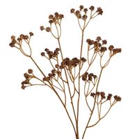 product-compare-61190707