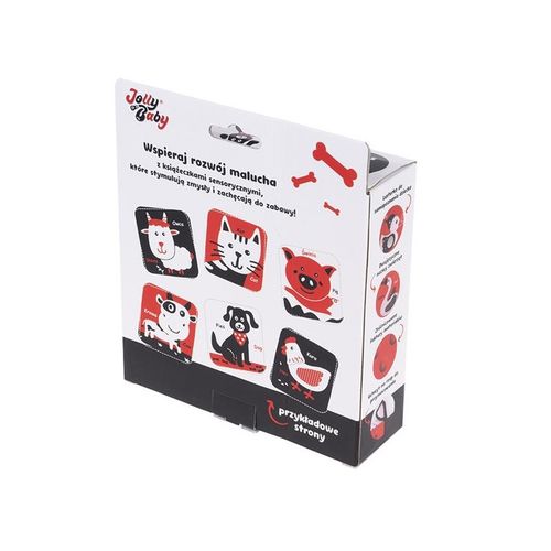 Książeczka sensoryczna Farma na Arena.pl