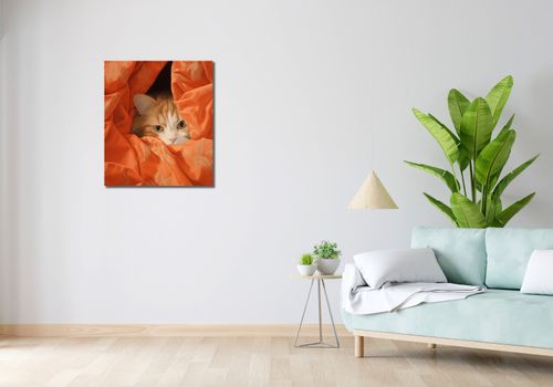 Obraz 60x70cm Ukryty Kot na Arena.pl
