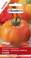 NASIONA Pomidor Karłowy Lolek Do Długiego Przechowywania 0,5g PLANTICO