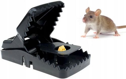 PUŁAPKA NA MYSZY MOCNY ZATRZASK GILOTYNA ZESTAW 6 SZTUK !!!! ŁAPKA NA MYSZY na Arena.pl