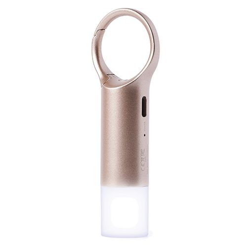 lexon nomaday flash brelok ledzłoty/gold ll137d na Arena.pl