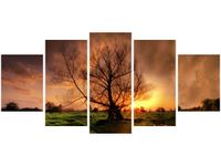 product-compare-58703052