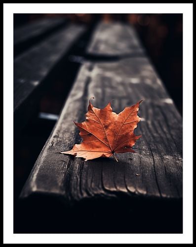 Plakat 50x65cm Pojedynczy Liść na Arena.pl