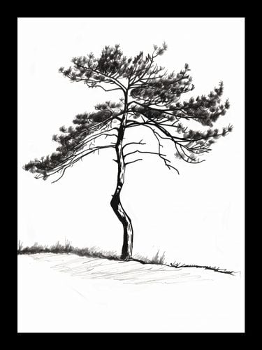 Plakat 13x18cm Samotna Sosna na Arena.pl