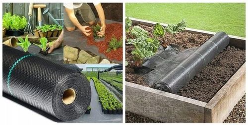 Agrowłóknina czarna 110x5000 cm mata antychwastowa na Arena.pl