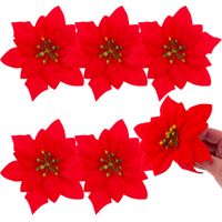 cv28918 gwiazda betlejemska kwiaty świąteczne duże kwiaty poinsecja