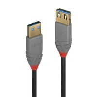 Lindy 1M Usb 3.2 Type A Extension