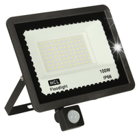 Lampa czujnik ruchu reflektor 100W