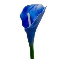 Calla pojedyncza gumowana denim blue