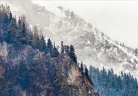 product-compare-62139601