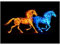 70X50CM OBRAZ KONIE DWA ŻYWIOŁY ŚCIAN