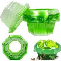 Obroże Przeciw Ślimakom 30 Sztuk Ø 24 cm Przezroczyste do Ochrony Roślin