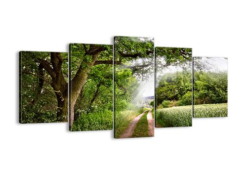 Obraz Na Płótnie - Las Pole Droga - 160X85 Cm - Ea160X85-2637 na Arena.pl