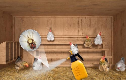 OPRYSK ŚRODEK PREPARAT NA ROZTOCZA PTASZYŃCA DO KURNIKA GOŁĘBNIKA 100ML na Arena.pl