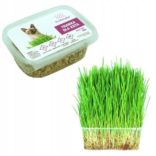 SIATKA DLA KOTA NA BALKON Z DRUCIKIEM ZESTAW 2 x 5 na Arena.pl