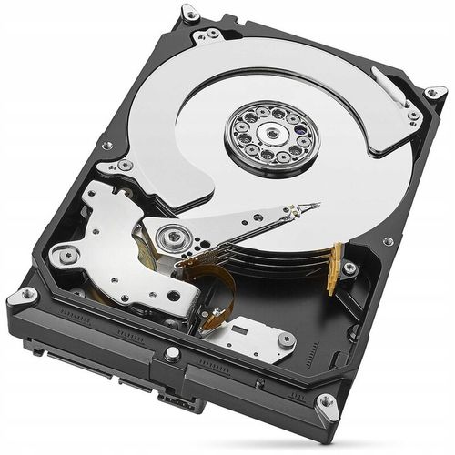 Dysk twardy Seagate SkyHawk Al 10TB SATA III 3,5" na Arena.pl