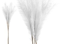 PAMPAS SZTUCZNA TRAWA PAMPASOWA BIAŁA WIĄZKA DŁUGA GAŁĄZKA 100 cm 7szt