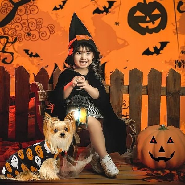 Kombinezon pooperacyjny dla psa XS zdjęcie 4