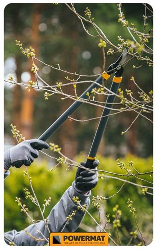 ZESTAW SEKATORÓW I NOŻYC OGRODOWYCH DO GAŁĘZI KRZEWÓW ŻYWOPŁOTU 3 SZT na Arena.pl