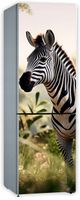 Naklejka samoprzylepna okleina tapeta na lodówkę zebra na wolności 171x70cm