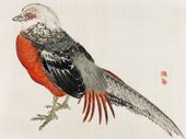 Plakat 40x30cm Japanese Pheasant, Kōno Bairei Japoński Vintage do Salonu