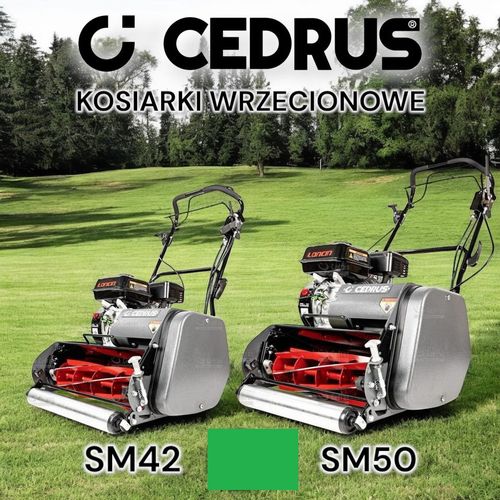 Kaseta Wertykulator skaryfikator Cedrus kosiarka wrzecionowa CEDSM50 CEDRSM12 na Arena.pl