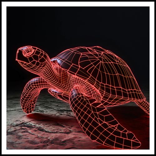 Plakat 90x90cm Neonowy Żółw na Arena.pl