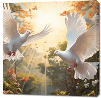 product-compare-59489185