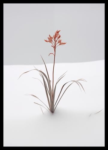 Plakat 29,7x42cm Subtelność Natury na Arena.pl