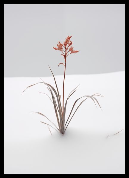 Plakat 29,7x42cm Subtelność Natury zdjęcie 2