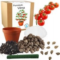 ZESTAW DO UPRAWY POMIDOR VILMA POMIDORY KOKTAJLOWE NASIONA 10x WIELOLETNIA