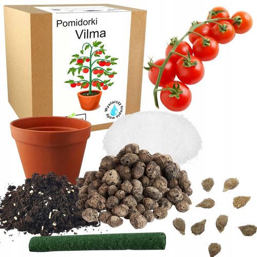 ZESTAW DO UPRAWY POMIDOR VILMA POMIDORY KOKTAJLOWE NASIONA 10x WIELOLETNIA na Arena.pl