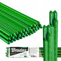 Tyczka Palik Podpora Tyczki do Pomidorów Roślin Kwiatów Ogórków 120cm 10szt