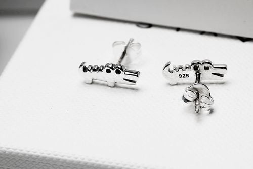 srebrne kolczyki krokodylki na Arena.pl