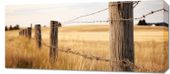 Obraz 90x40cm Płot na Polu