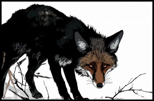 Plakat 91,5x60cm Nieufny Lis na Arena.pl