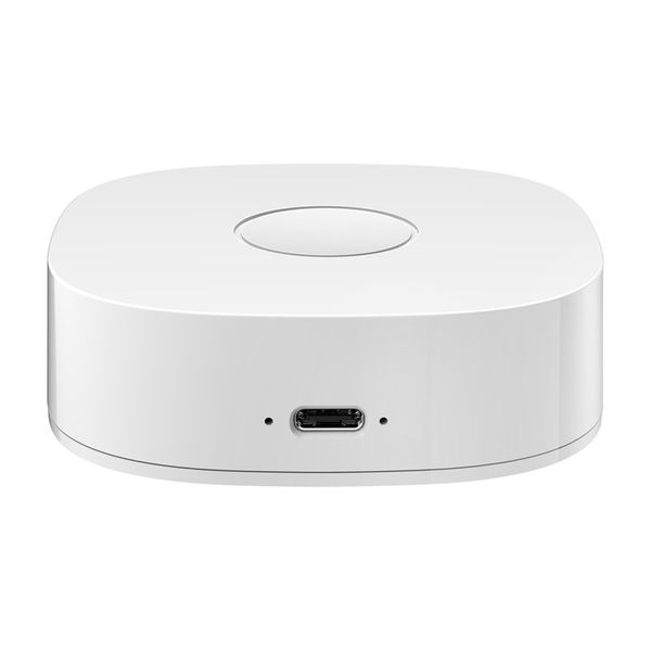 inteligentna bramka heiman ws2gw-r wifi zdjęcie 3