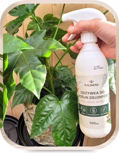 Odżywka Nawozowa Nawóz Do Liści Roślin Zielonych Monstery Palm Fikusa na Arena.pl