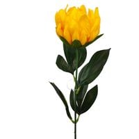 Protea pojedyncza żółta