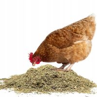 Zioła dla kur na Odporność 1kg Dla drobiu STOP CHOROBOM Naturalna odporność