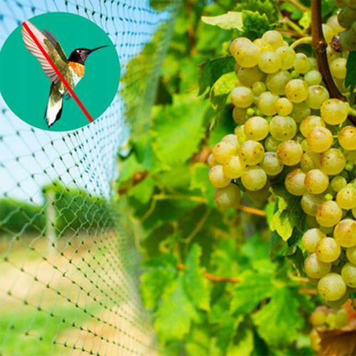 OCHRONNA SIATKA NA PTAKI GOŁĘBIE 10X10M MOCNA PRZECIW PTAKOM SZPAKOM na Arena.pl