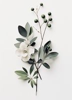 Plakat 50x70cm Papierowy Kwiat