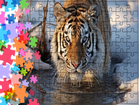 Puzzle tradycyjne Zwierzęta - Tygrys