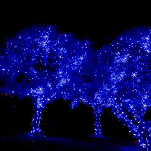 LAMPKI CHOINKOWE 500 LED ZEW/WEW NIEBIESKI na Arena.pl